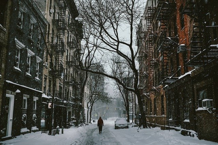 Image of a snowy city street with trees in winter